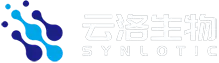 SYNLOTIC BIOTECH （SHANGHAI） co., Ltd.