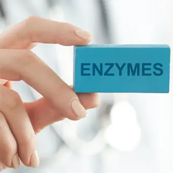 Entsyymit