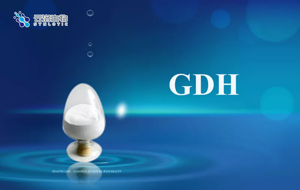 Mitkä ovat entsyymien peruskäsitteet?