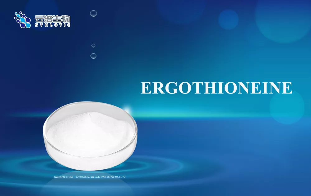 Ergotioneiini: solusi 