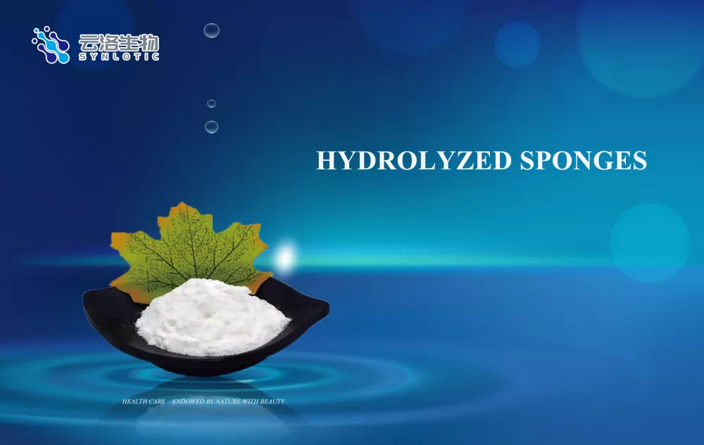 Hydrolysoidut sienet