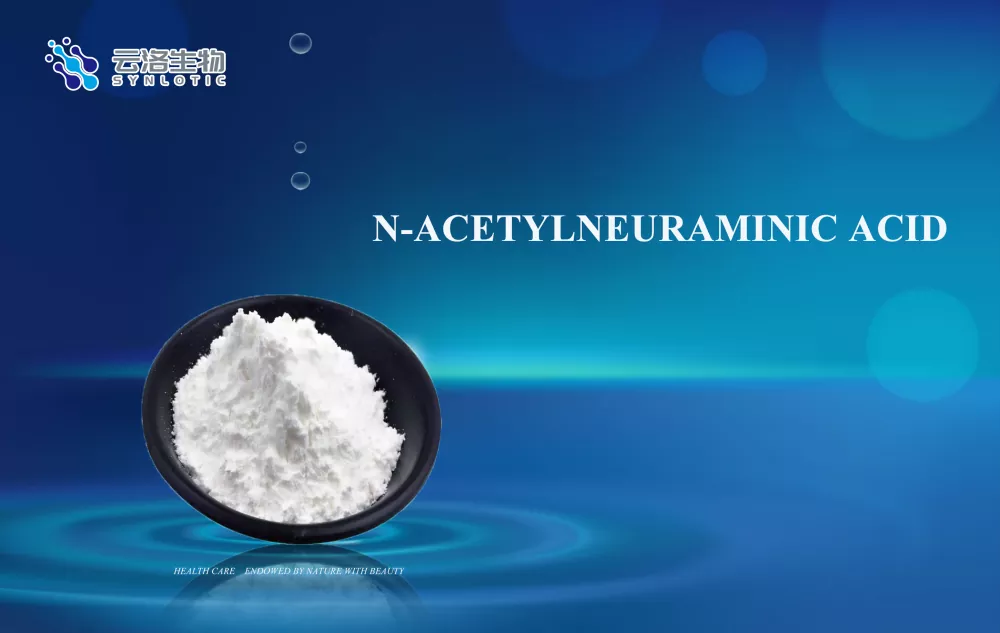 N-asetyylneuramiinihappo